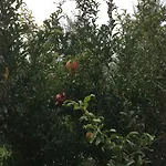 Dei Rii מנרבה דל גארדה