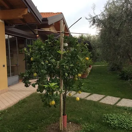 Dei Rii *