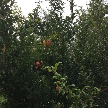 Dei Rii Manerba del Garda